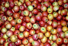Δεσμεύτηκαν πάνω από 16 τόνοι μήλων