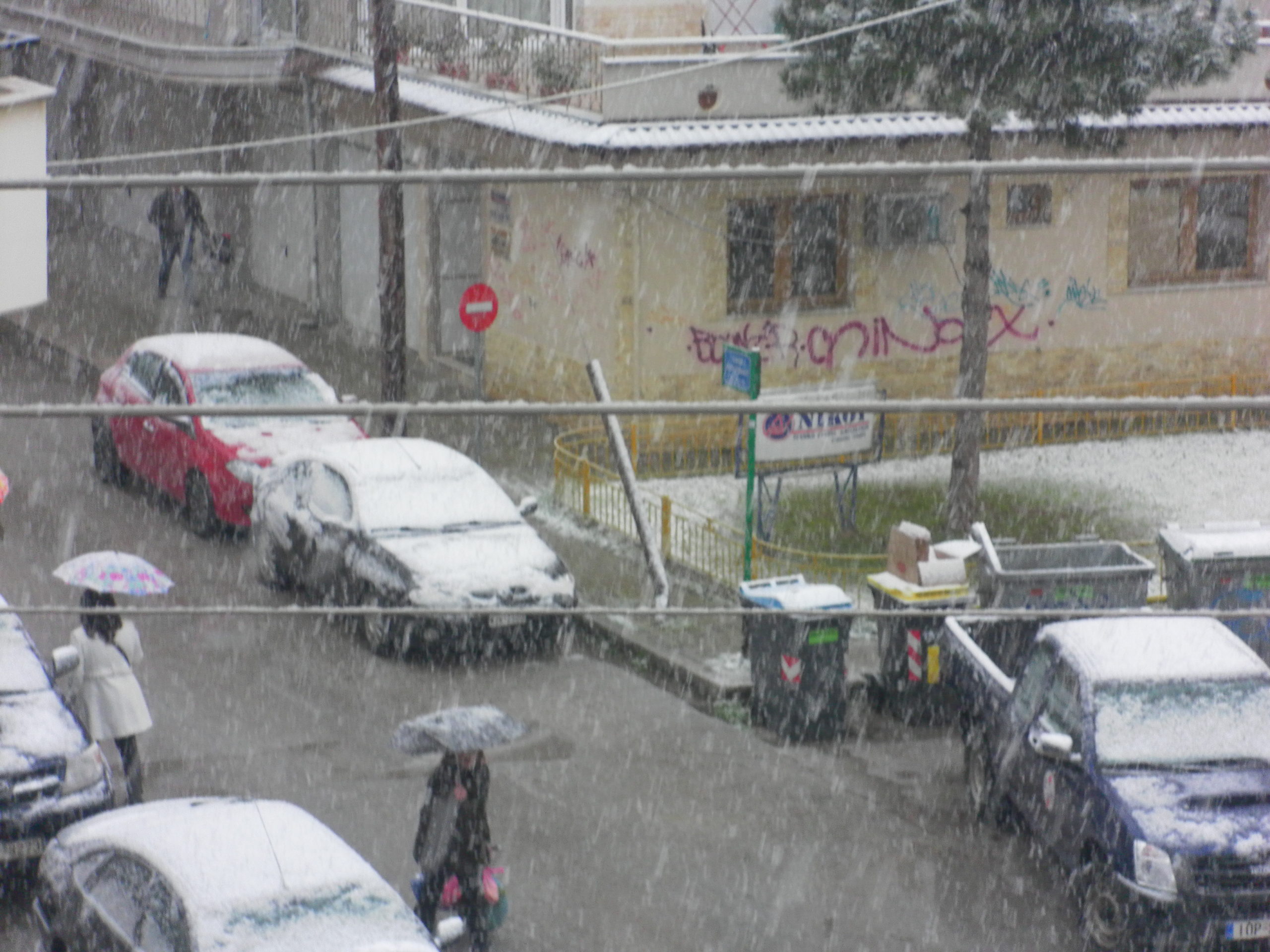 ΦΩΤΟ αναγνώστη-“Το έστρωσε” στην Πτολεμαΐδα