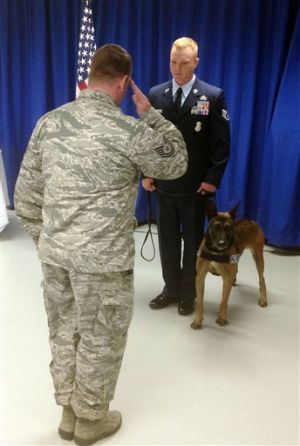 Απονεμήθηκε στρατιωτικό μετάλλιο τιμής σε σκύλο