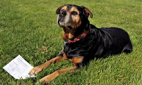 ΦΩΤΟ-Ροτβάιλερ απέκτησε εκλογικό βιβλιάριο