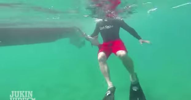 ΒΙΝΤΕΟ-Ο δύτης δεν ήταν για τα δόντια του