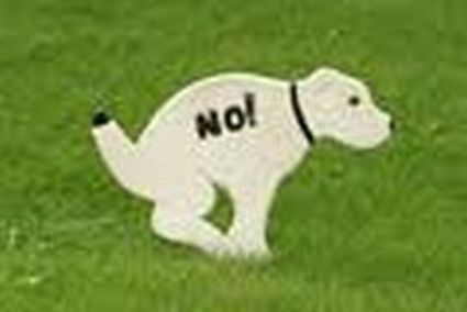 Δήμαρχος θα προσλάβει ντετέκτιβ… για τις ακαθαρσίες των σκύλων