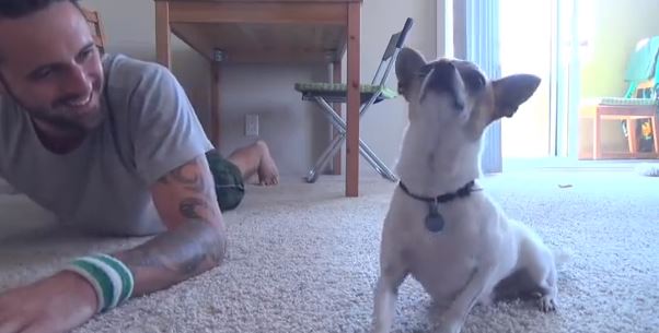 ΒΙΝΤΕΟ-Κάνει γιόγκα με τον σκύλο του