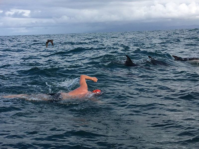 ΒΙΝΤΕΟ-Δελφίνια έσωσαν κολυμβητή από καρχαρία