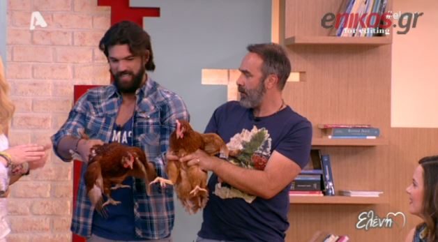 BINTEO-Γέμισε κότες το πλατό της Ελένης Μενεγάκη