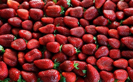 Ρωσικό μπλόκο σε ελληνικές φράουλες