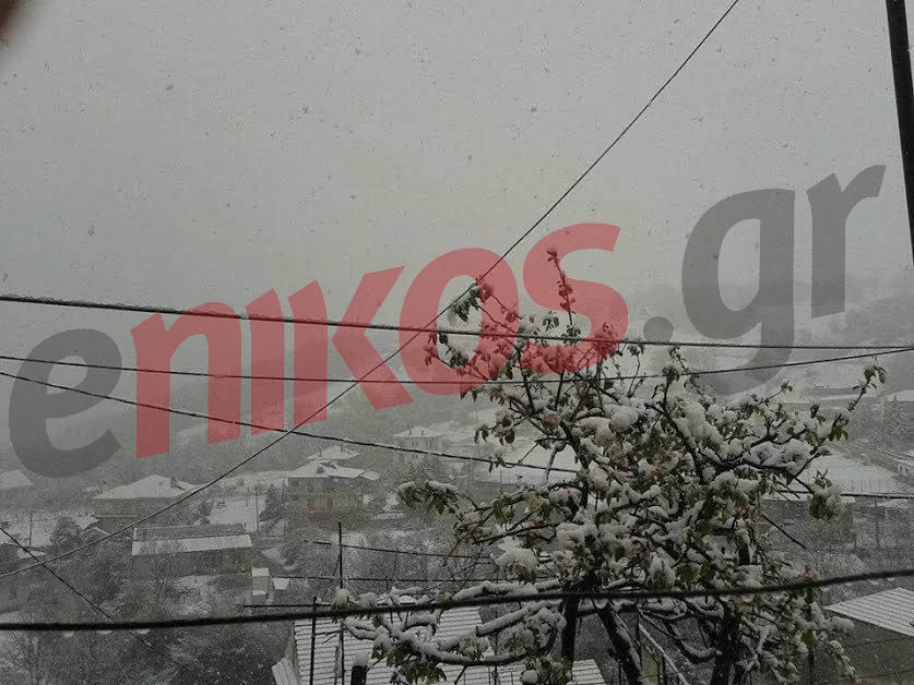 ΦΩΤΟ-Πυκνή χιονόπτωση στο Λέχοβο