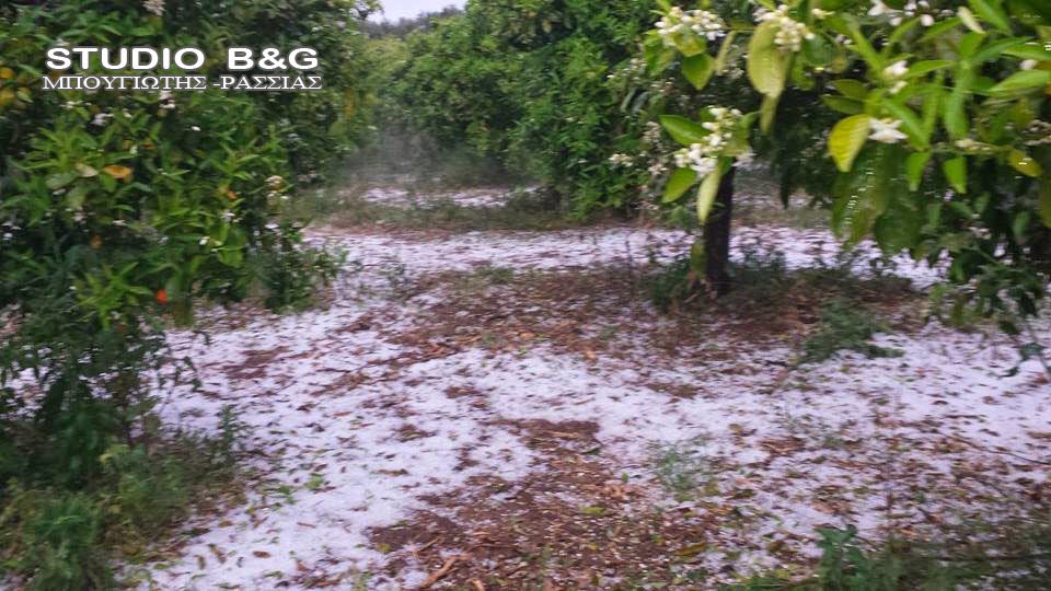 ΦΩΤΟ-Καταστροφές από την χαλαζόπτωση στην Αργολίδα