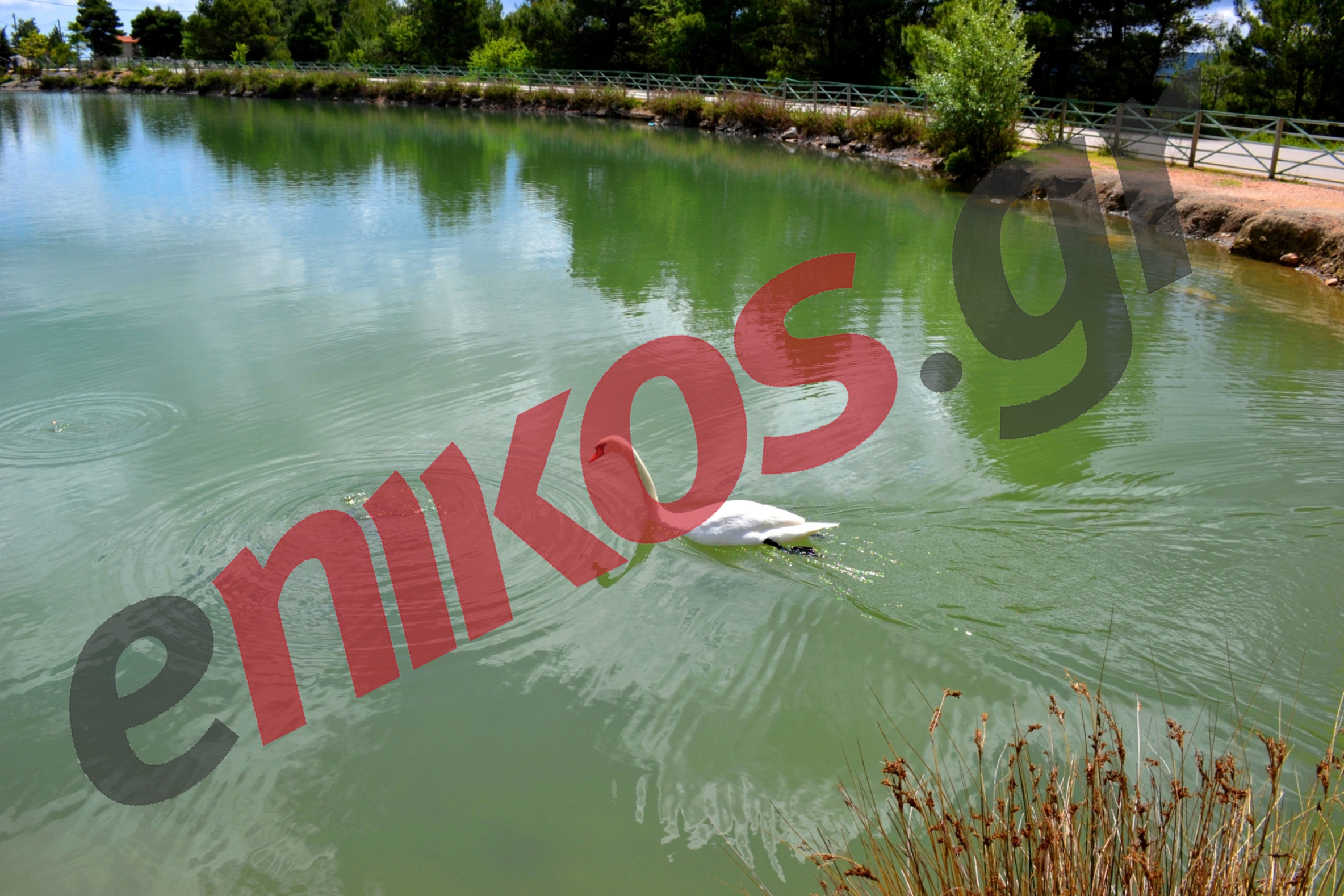 ΦΩΤΟ-Μία ξεχωριστή καλημέρα από την Πάρνηθα