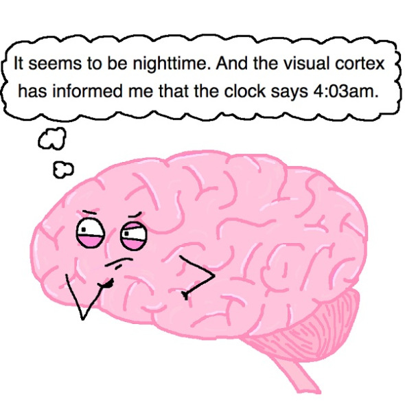 BINTEO-Η εφαρμογή που δίνει λύση στο jetlag