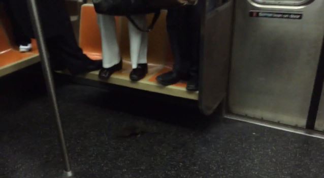 ΒΙΝΤΕΟ-Ένας αρουραίος στο μετρό
