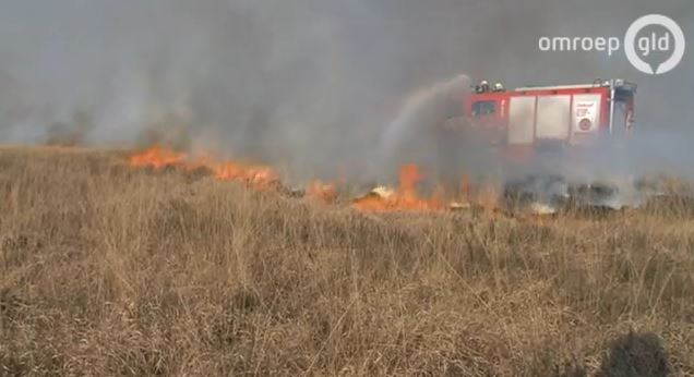 ΒΙΝΤΕΟ-Μεγάλη πυρκαγιά σε Εθνικό Πάρκο της Ολλανδίας