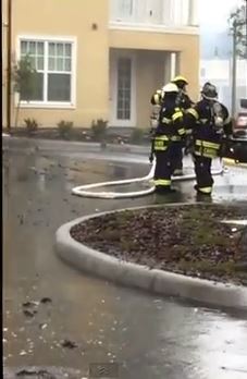 ΒΙΝΤΕΟ-Απίστευτη γάτα πηδάει από τον τρίτο όροφο για να σωθεί από τη φωτιά