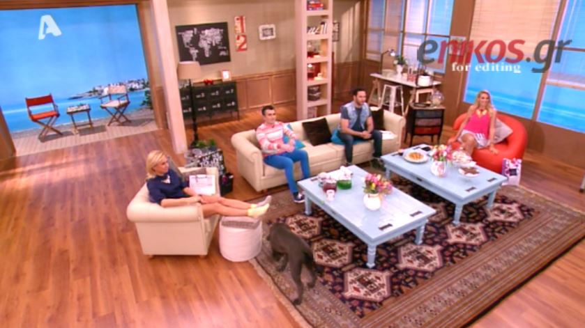 BINTEO-Τι συνέβη στην Καραβάτου;