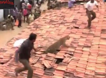 ΒΙΝΤΕΟ-Λεοπάρδαλη σκορπάει τον πανικό σε χωριό