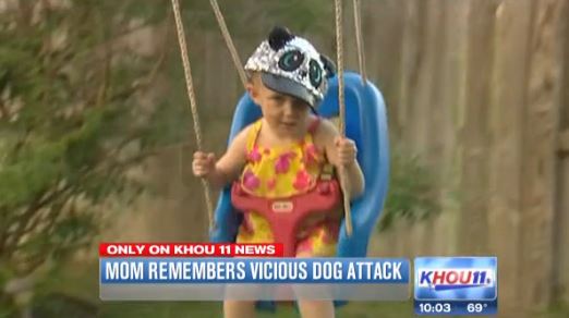 Μητέρα δάγκωσε πίτμπουλ για να σώσει την κόρη της