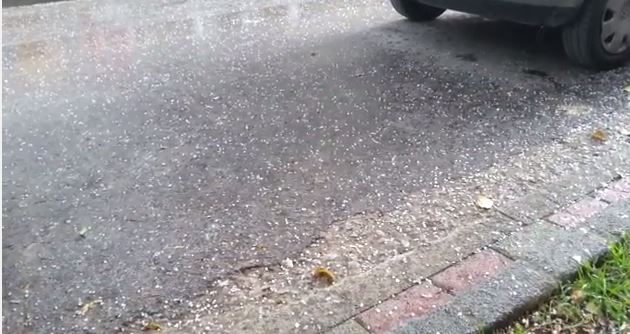 ΦΩΤΟ-Καταιγίδες και χαλάζι στη Φθιώτιδα