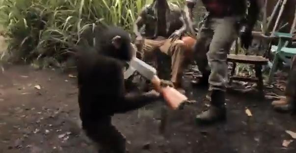 ΒΙΝΤΕΟ-Ο χιμπατζής με το καλάσνικοφ