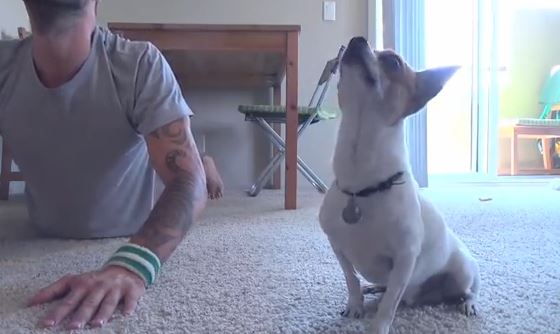 ΒΙΝΤΕΟ-Σκύλος κάνει γιόγκα μαζί με το αφεντικό του