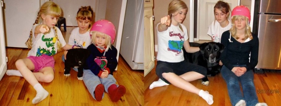 Αστείες ΦΩΤΟ κατοικίδιων πριν και μετά