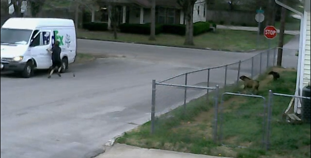 ΒΙΝΤΕΟ-Οδηγός κυνηγά … το φορτηγάκι του