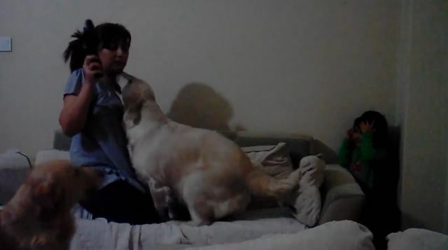 ΒΙΝΤΕΟ-Ποιος είπε ότι οι σκύλοι δεν αγαπούν τα παιδιά;