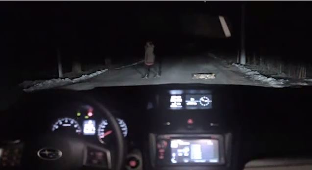 ΒΙΝΤΕΟ-Ο σκύλος έκλεψε το αυτοκίνητο