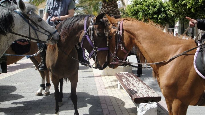 “Ατρόμητοι ιππείς”… στις Θερμοπύλες