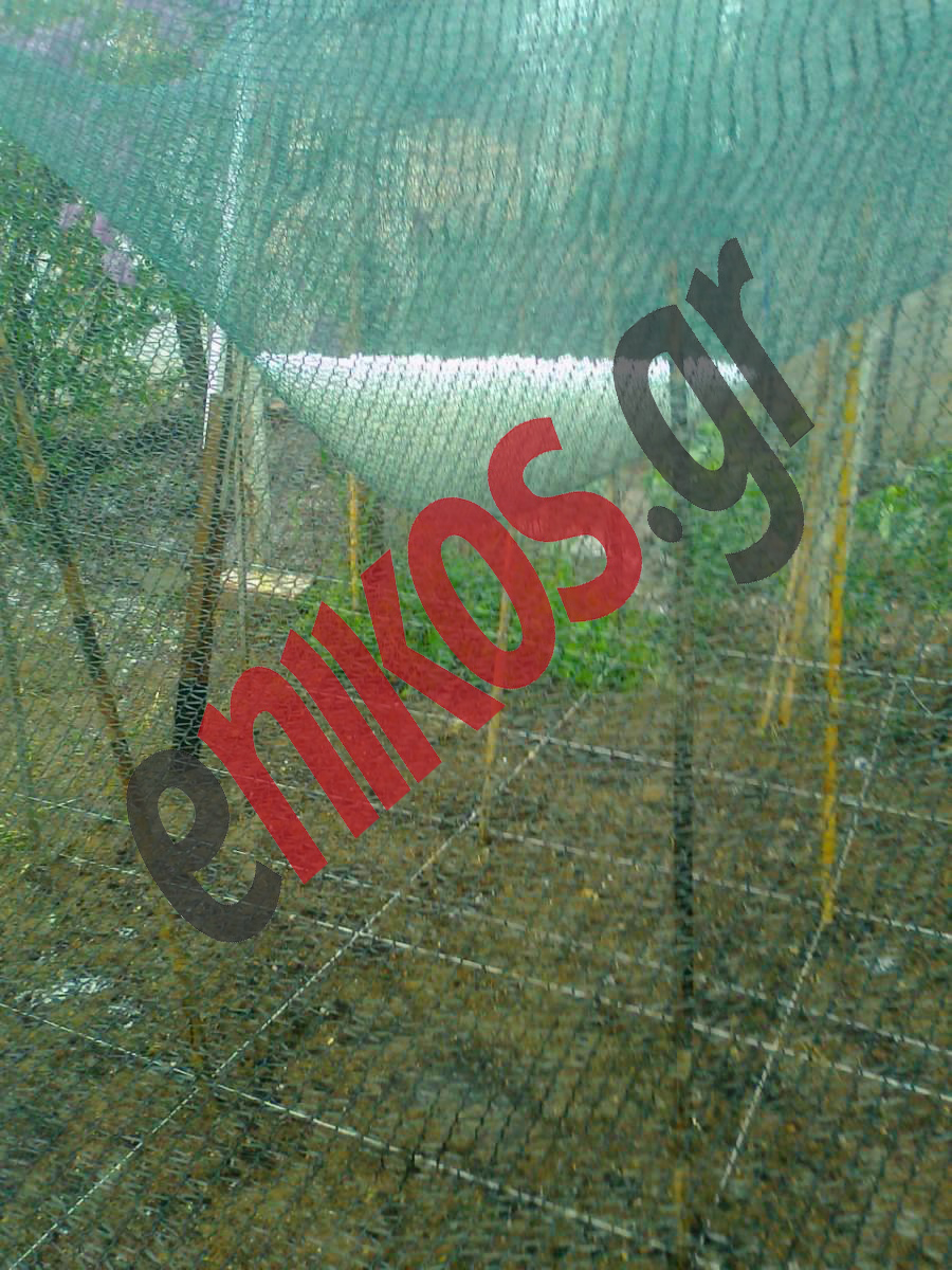 ΦΩΤΟ-Δίχτυ γεμάτο χαλάζι