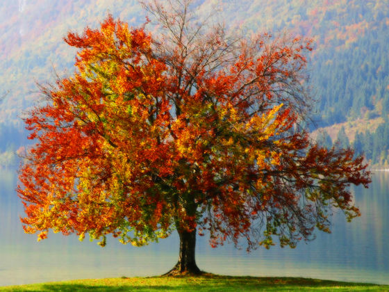 Ποια εποχή σας ταιριάζει; Κάντε το τεστ