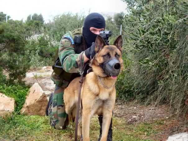 Θύματα της κρίσης και οι αστυνομικοί σκύλοι