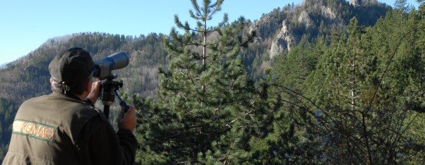 Μετακινήσεις για δασικούς υπαλλήλους