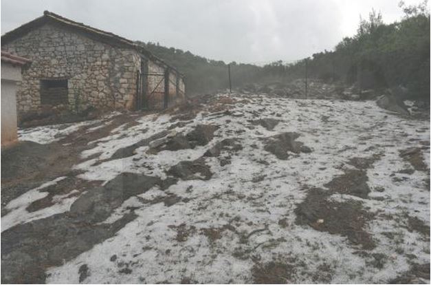 ΦΩΤΟ-Το χαλάζι έπληξε καλλιέργειες
