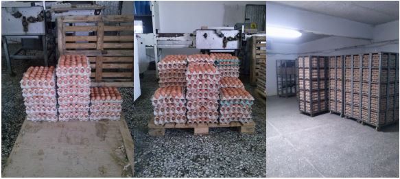 Ο ΕΦΕΤ κατέσχεσε 52.000 αυγά στον Έβρο