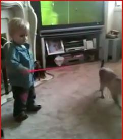 ΒΙΝΤΕΟ-Η… εκδίκηση της γάτας