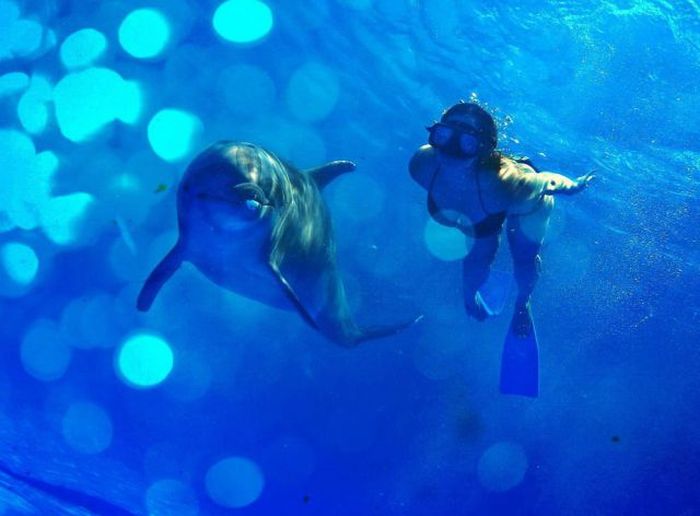 perierga.gr - Κάτι παραπάνω από μία απλή φωτογραφία! perierga.gr - Κάτι παραπάνω από μία απλή φωτογραφία!