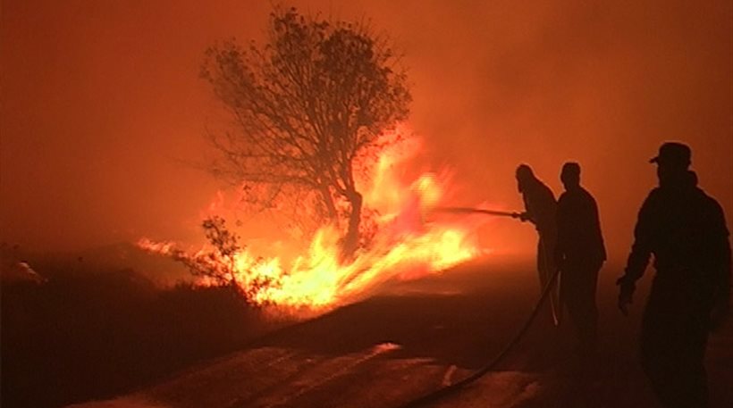 Φωτιά στη Λάρυμνα Φθιώτιδας