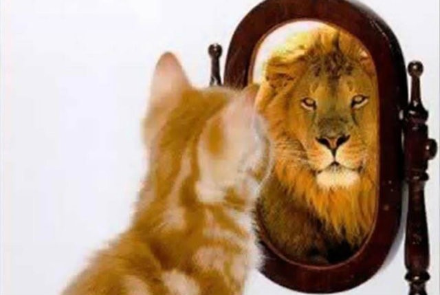 Ποια λάθη κάνω και δεν έχω αυτοπεποίθηση;