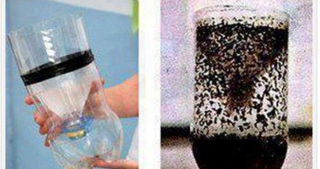 Φτιάξτε την τέλεια αντικουνουπική παγίδα