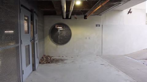 ΒΙΝΤΕΟ-Χελιδόνια ανοίγουν πόρτα