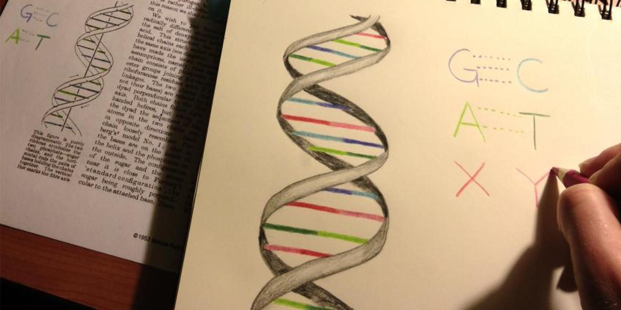 Δημιούργησαν τον πρώτο ζωντανό ημισυνθετικό οργανισμό