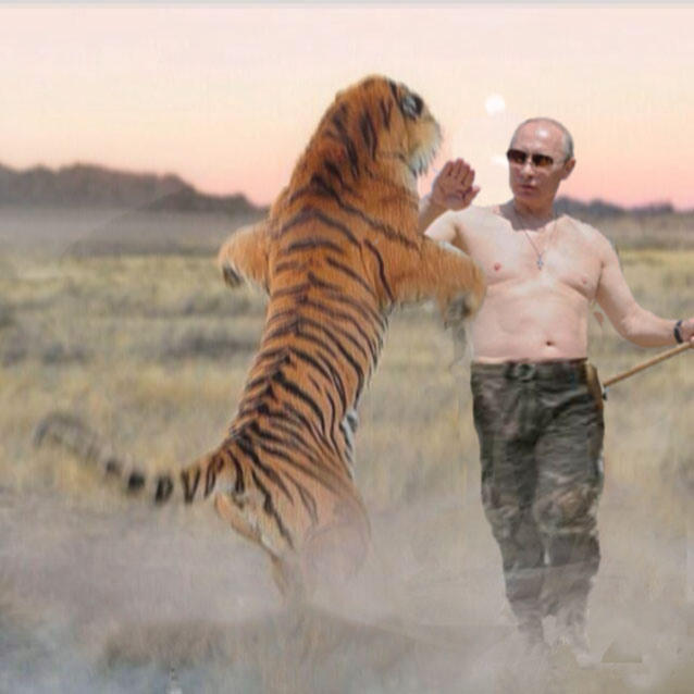 Ο Πούτιν απελευθέρωσε σπάνιες τίγρεις