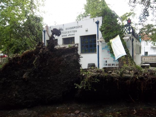 ΦΩΤΟ-Πτώσεις δέντρων και ζημιές στη Δράμα