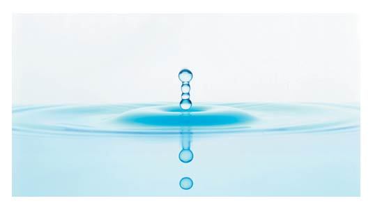 ΦΩΤΟ-Δείτε τι “ζει” σε μια σταγόνα θαλασσινού νερού