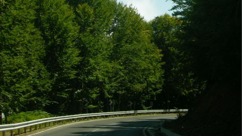 Έπεσε αυτοκίνητο στον γκρεμό