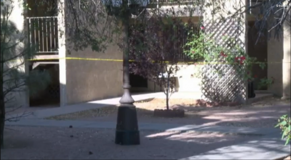 ΗΠΑ-3χρονος πυροβόλησε και σκότωσε τον μικρό του αδερφό