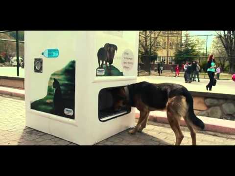 ΒΙΝΤΕΟ-Ανακυκλώνοντας ταΐζουν σκύλους