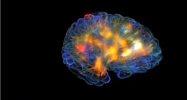 ΒΙΝΤΕΟ-Εγκεφαλική λειτουργία σε real time