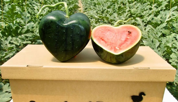 ΦΩΤΟ-Καρπούζι σε σχήμα… καρδιάς