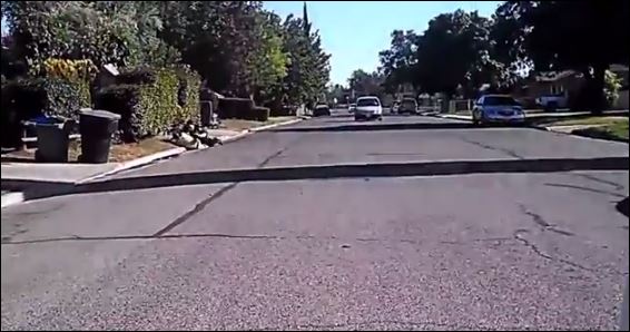 ΒΙΝΤΕΟ-Αστυνομική καταδίωξη… κωμωδία